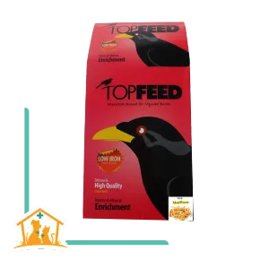 مرغ مینا همراه با کرم