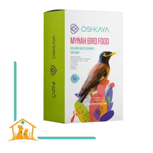 مرغ مینا ۱ کیلوگرمی